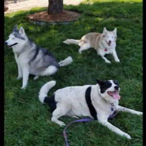 WE'RE SORRY WE'RE FURRY!